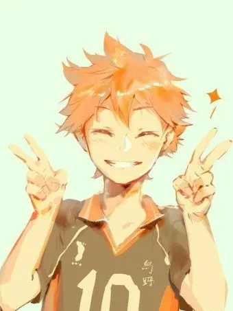 SorePuli8999의 히나타 쇼요 & 카라스노 배구부