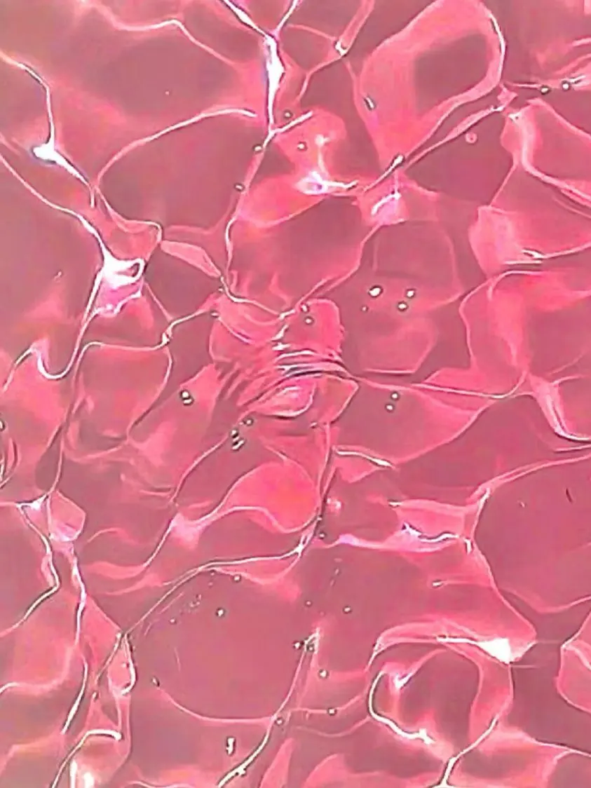 nitsukuTBTB의 🌵🌶🐰💰☕️🍞