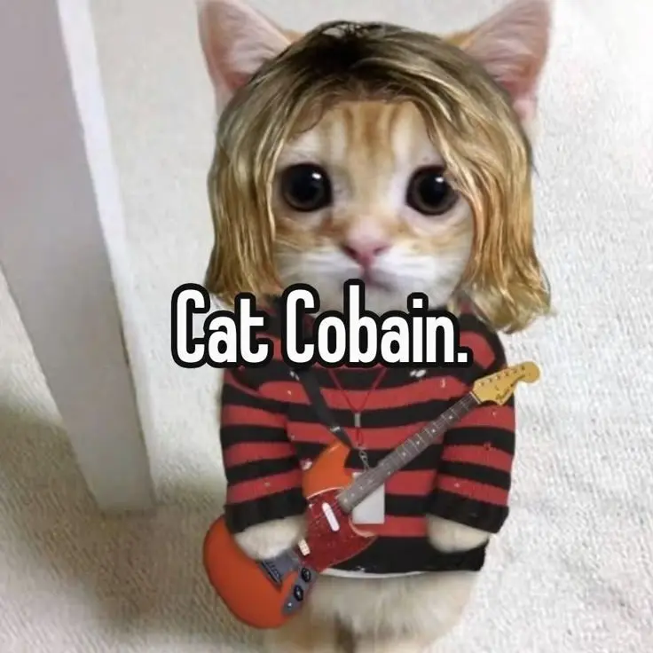 xxL0VExx의 제정신 아닌 사람만 대화해라