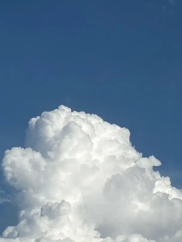 VocalGravy6925의 あの夏の日、貴方は死んだ