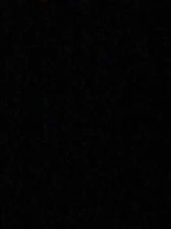 Intstringbool_anything의 2