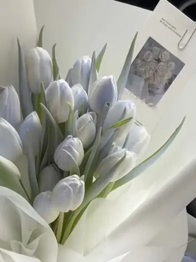 mi.xs0l_의 羅宰堅