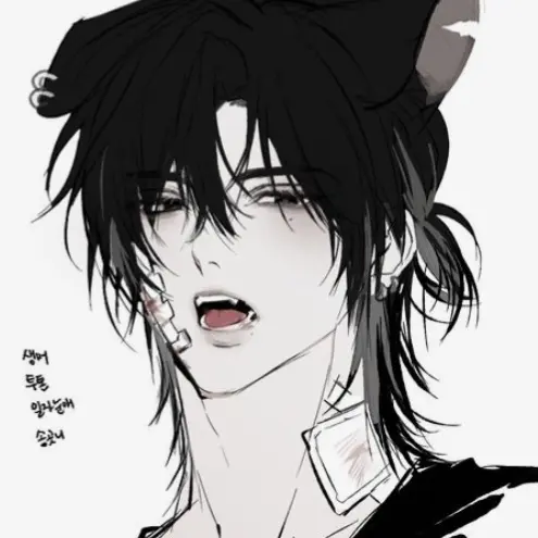 Da_yon13의 바르카