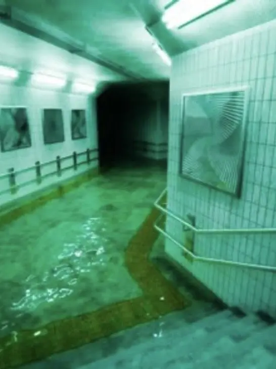 WindyTire9256의 BEAST太宰︎︎ ♀