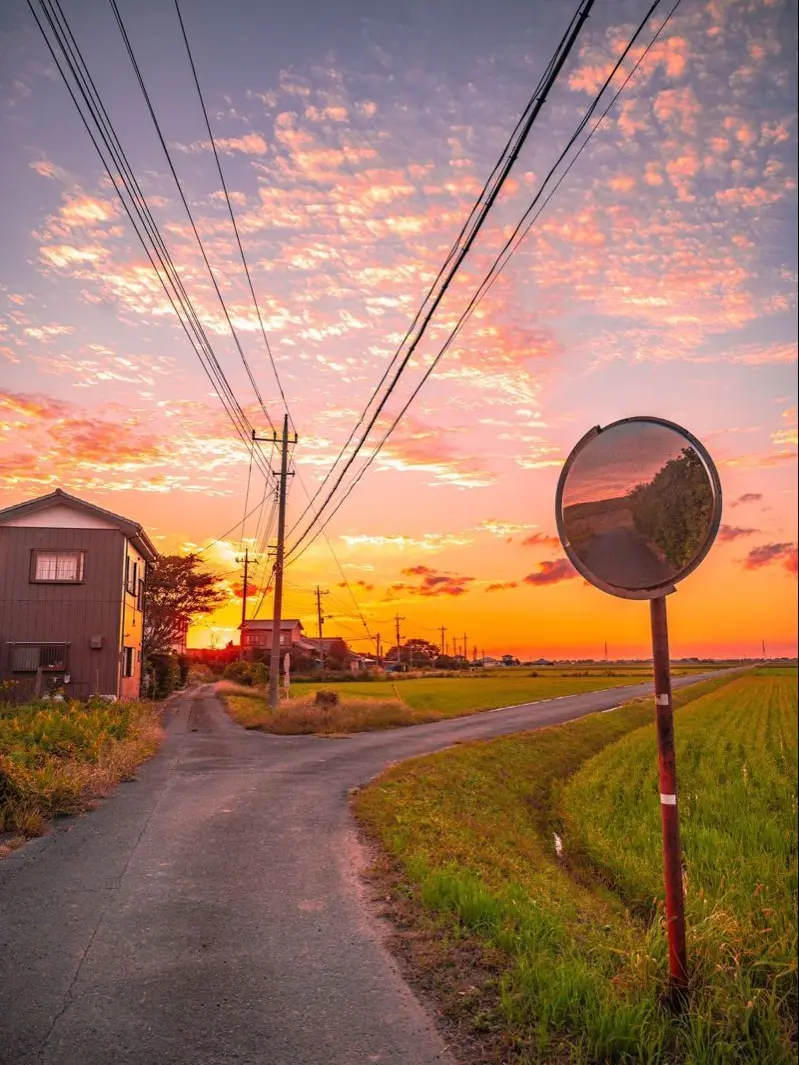 PlaidThrow6825의 個性事故にあったんだよね。