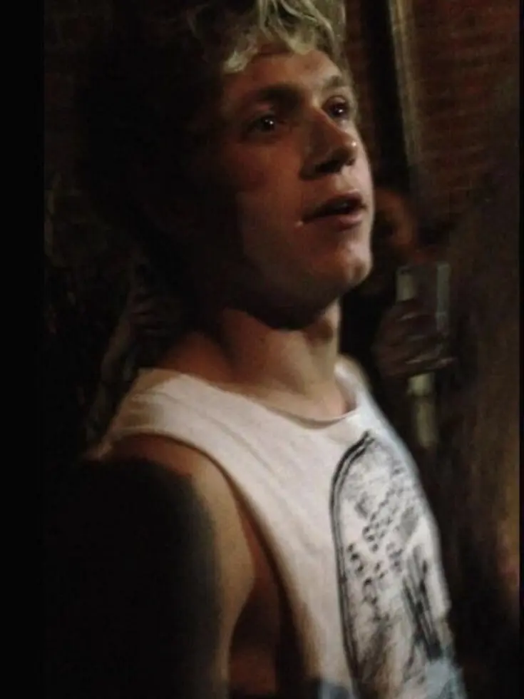BroadStar2427의 niall horan