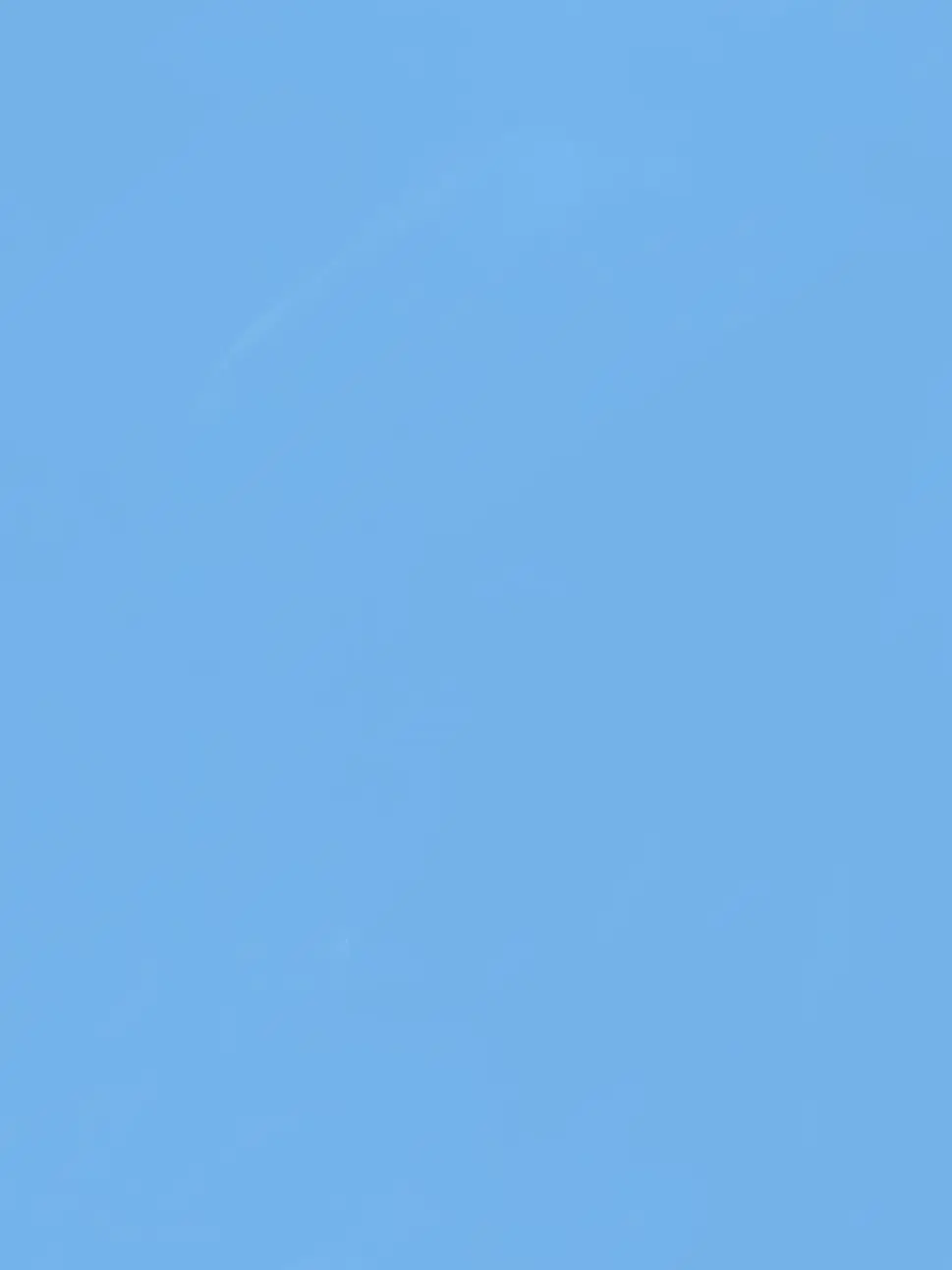 butterfly0411의 𝗙𝗲𝘃𝗲𝗿