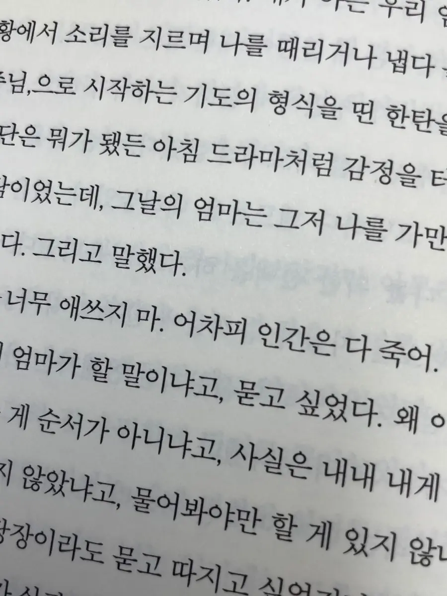 DYNASTY_의 걱정 마, 어차피 인간은 다 죽어