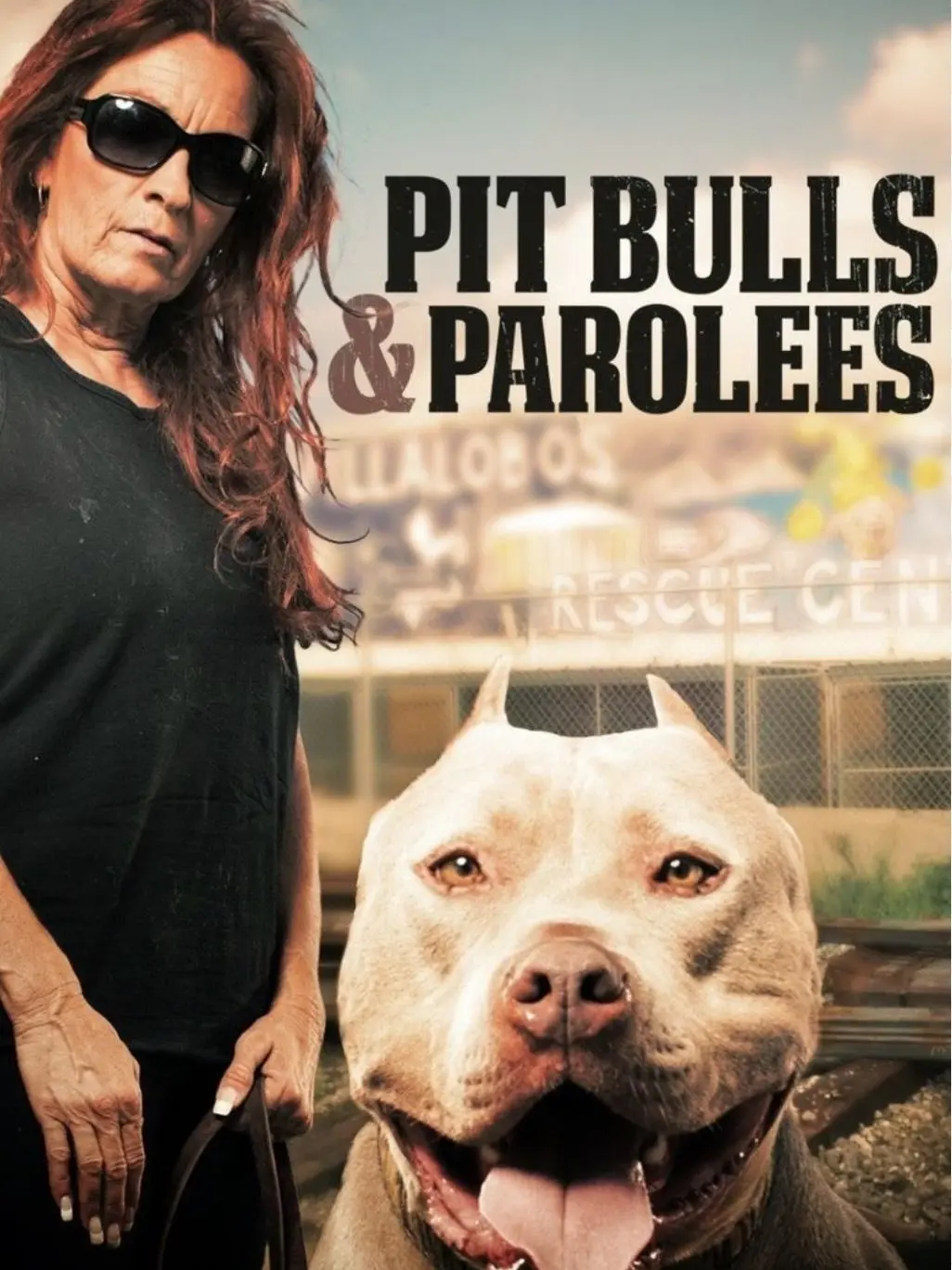 BronzeBraid3988의 Pit bulls and parolees
