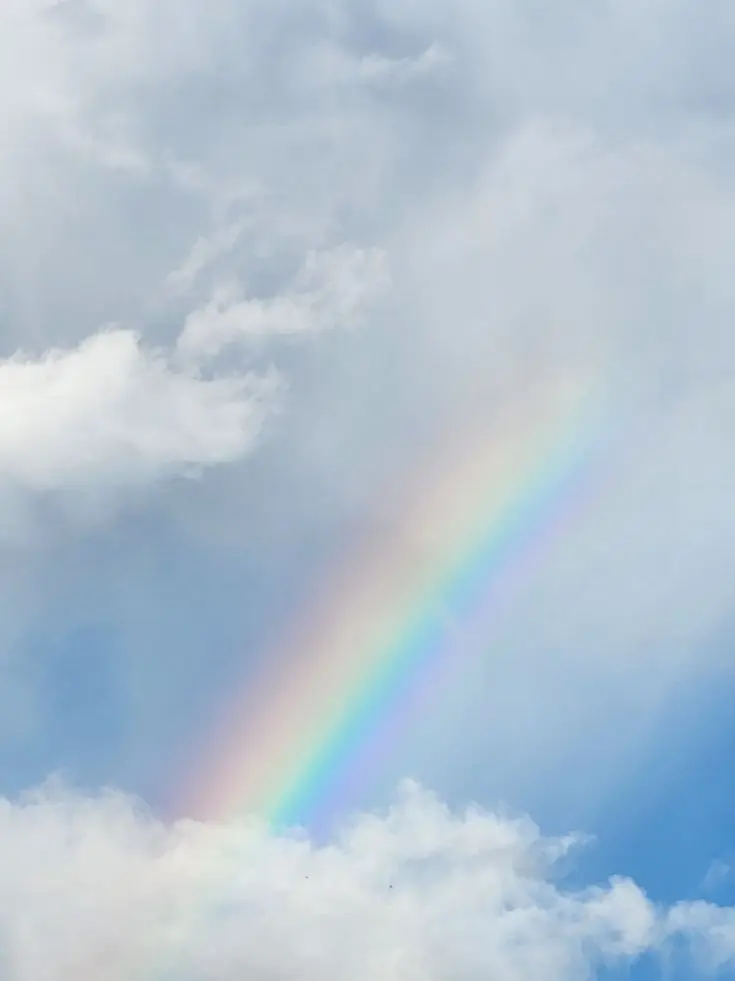 Aokilol_의 🌈♡