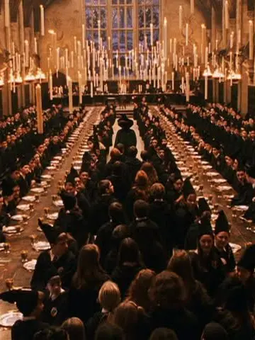 AwesomeOpossum의 Hogwarts  (*^▽^)/★*☆♪