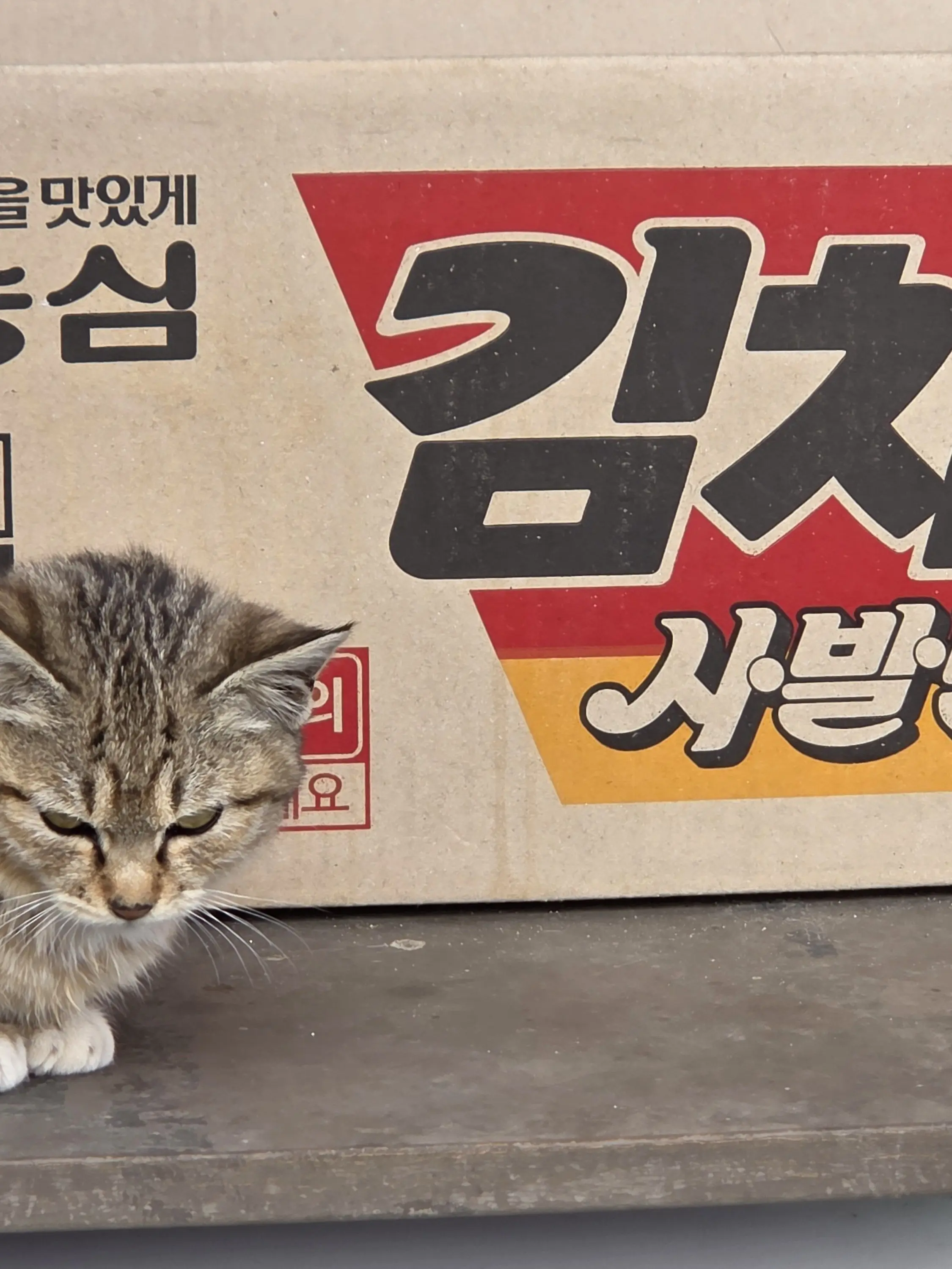 FakeFilm1514의 ㅓ...개인용으로 할려..했는데...