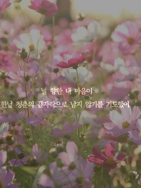 19182의 애이불비 (哀而不悲)