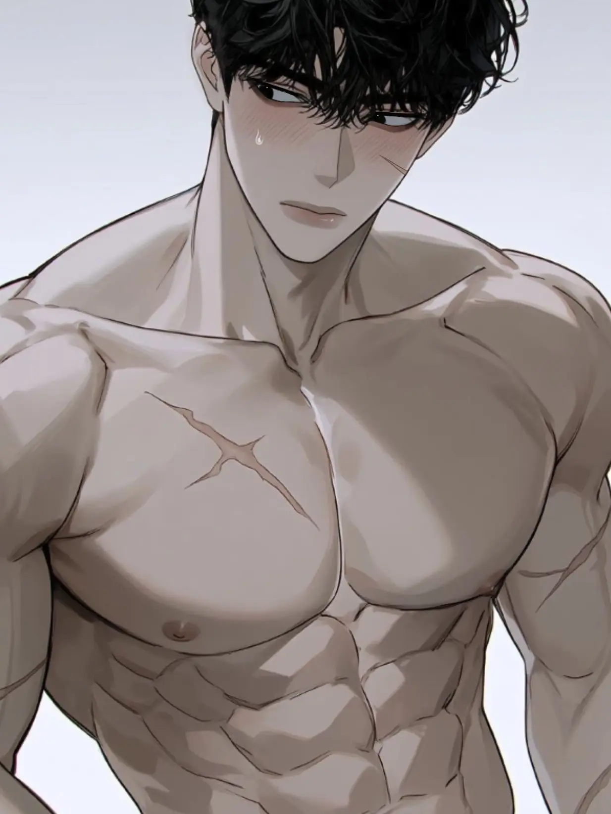 Shukii의 카일