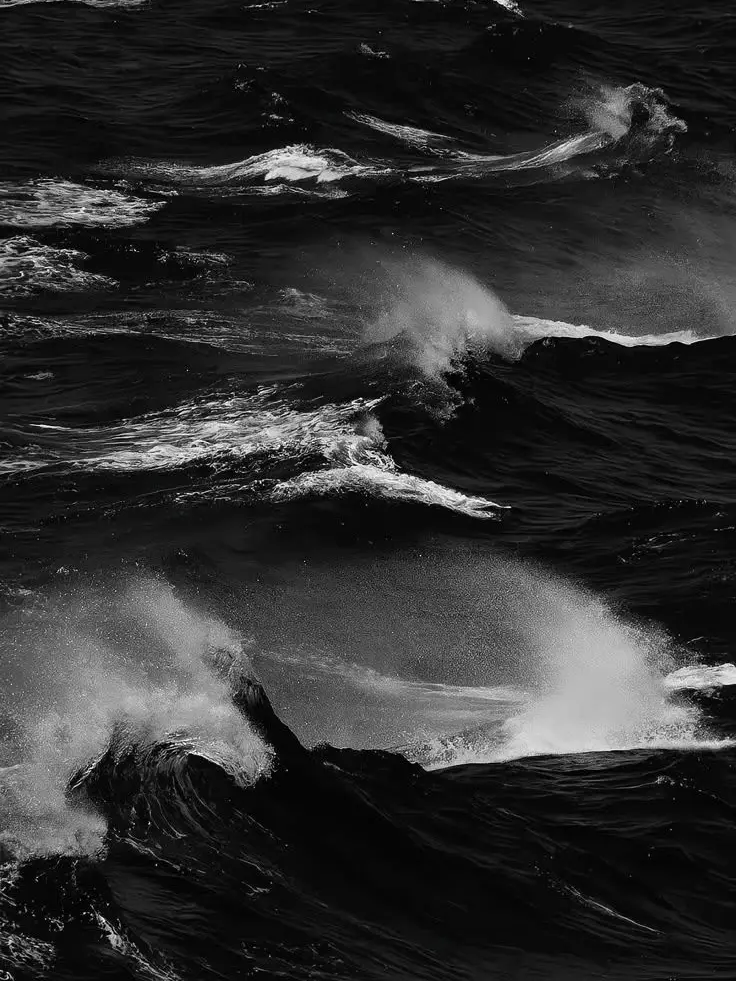 mx.1nv의 NOWIMYOUNG