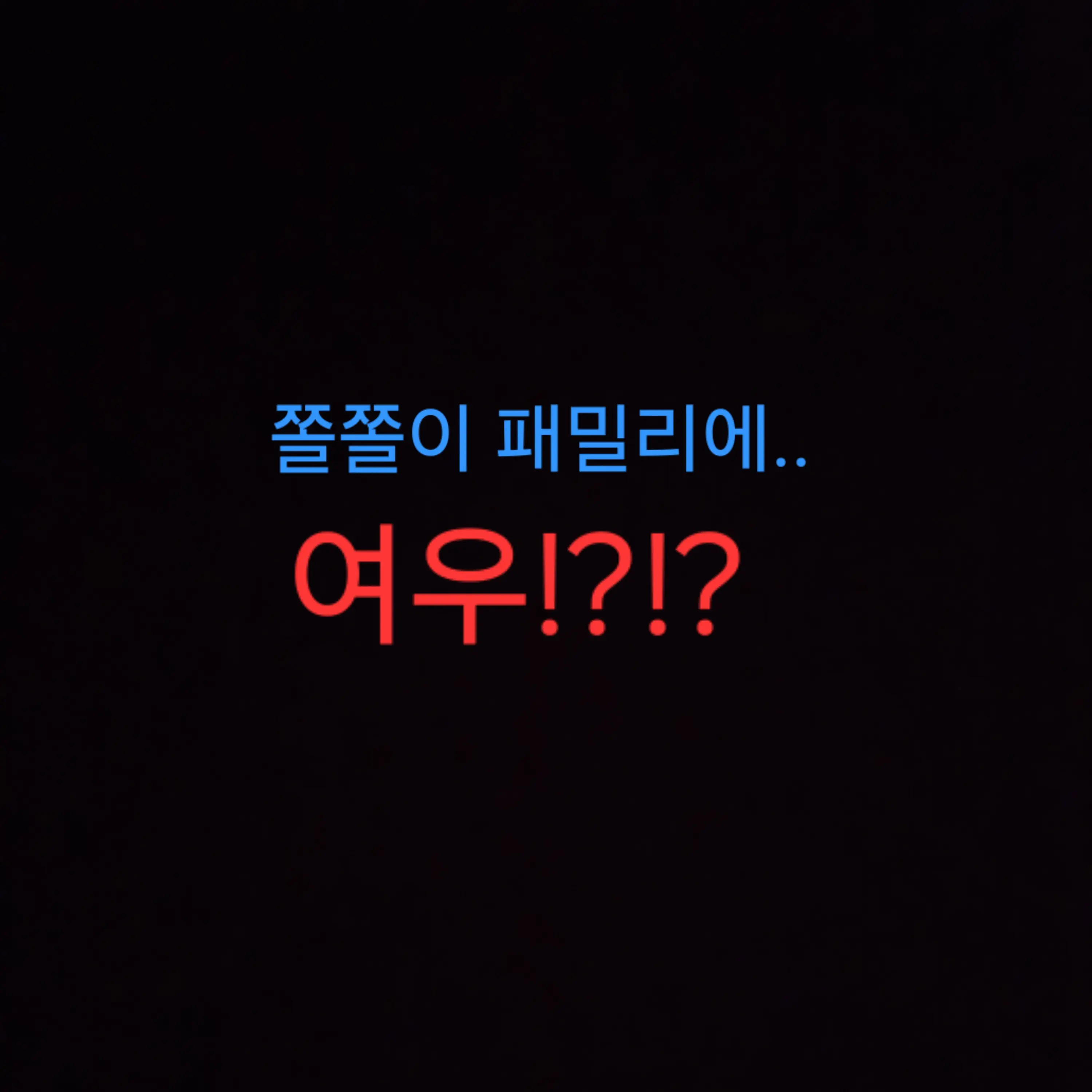 Dguedvid의 바다에 놀러간 쫄쫄이패밀리!