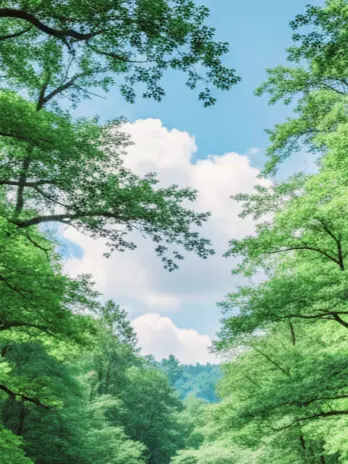 respear의 𝗦𝗨𝗠𝗠𝗘𝗥