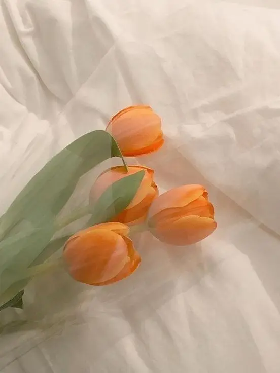 VA_qw의 𝙿𝙸𝚇𝙴𝙻𝚈 병원