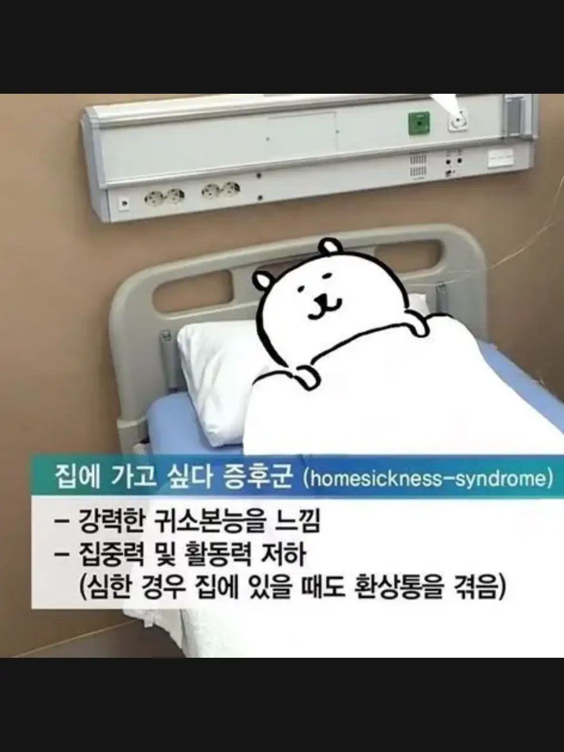 RipestDrill4051의 뜰팁-판사