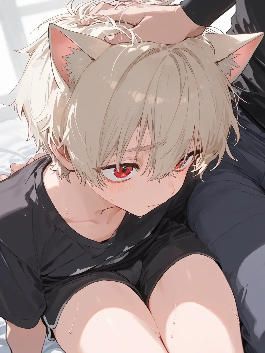 CurvedFresh8288의 猫ちゃん