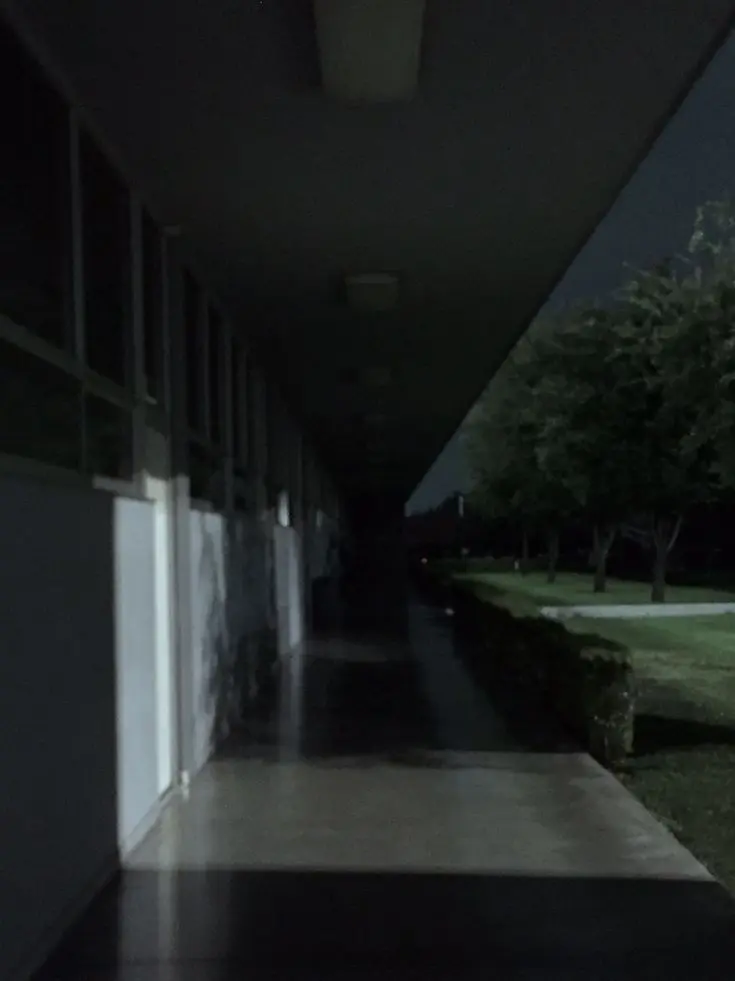 FustySable6200의 여름의 야자시간