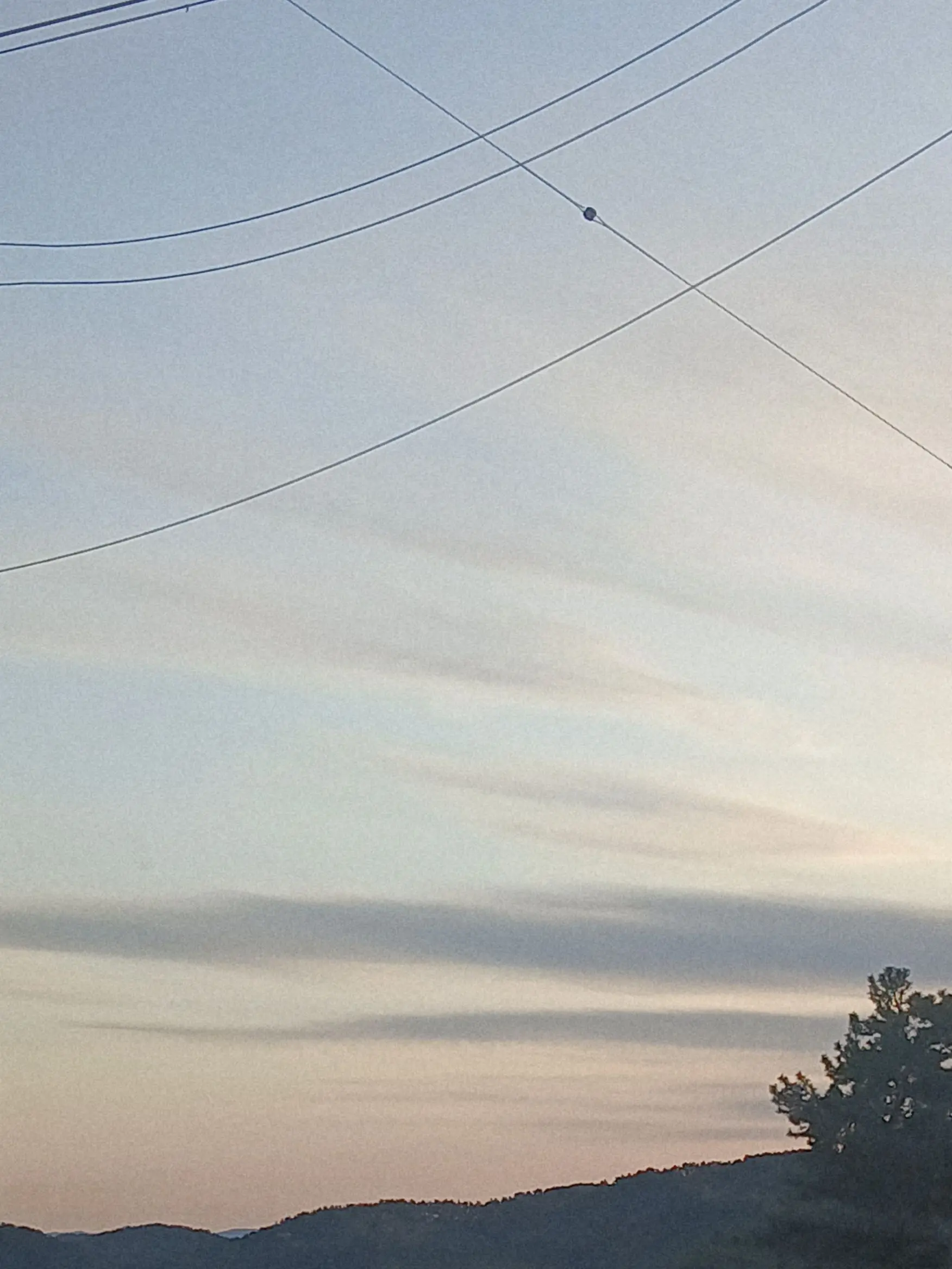 Asleeplessnight의 그들의 학교 생활.