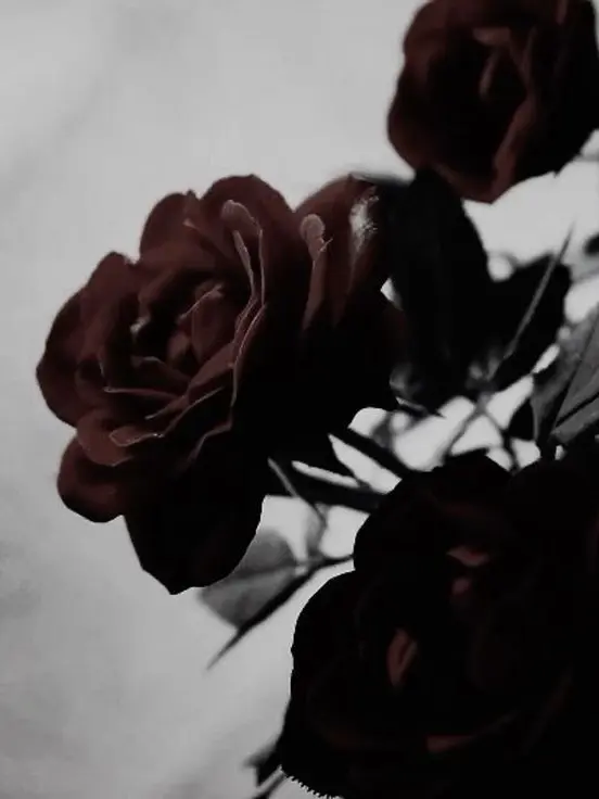 Easyhoon의 姜大謙