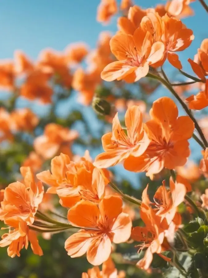 dpxnp의 불쌍해서 데려왔는데 원수 새끼였다