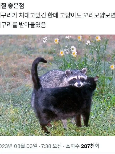 1176의 핀터짤 보다가 삘 왓음