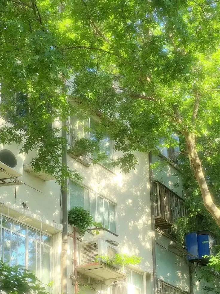 HandyMoose4708의 찐친