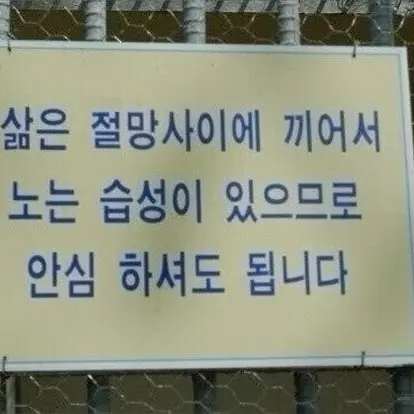 Mogu_mogu의 경쟁자.