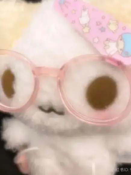 Ilove_624의 유기사