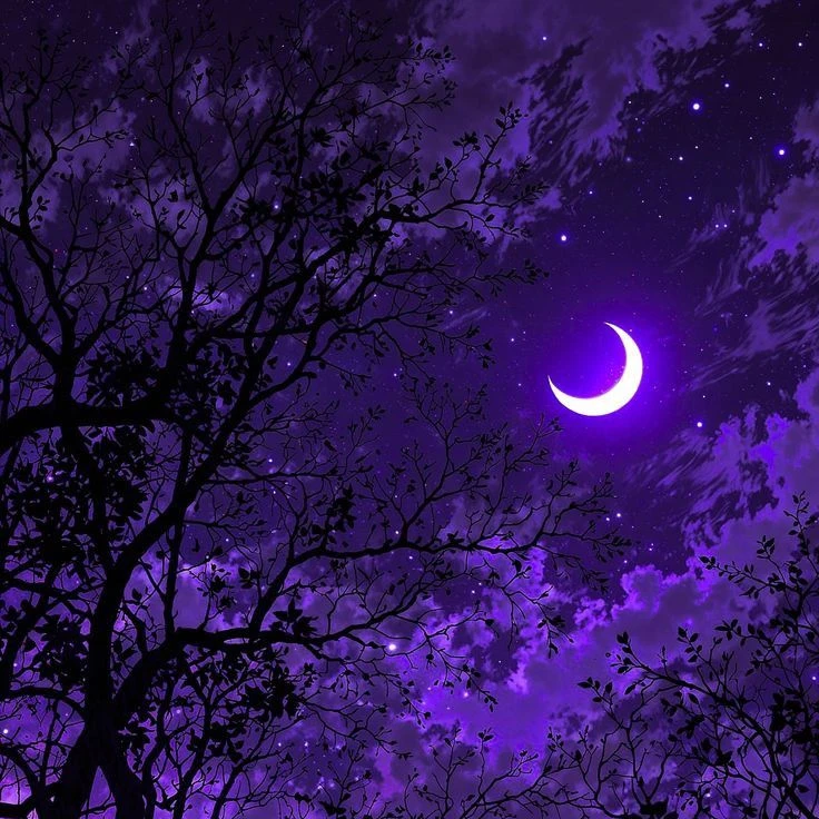한노아