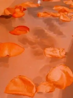 PrimGrill8454의 덕개 도련님 경계심 뚫기