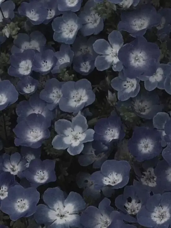 fu_.a02의 愛され過ぎて困ってます。