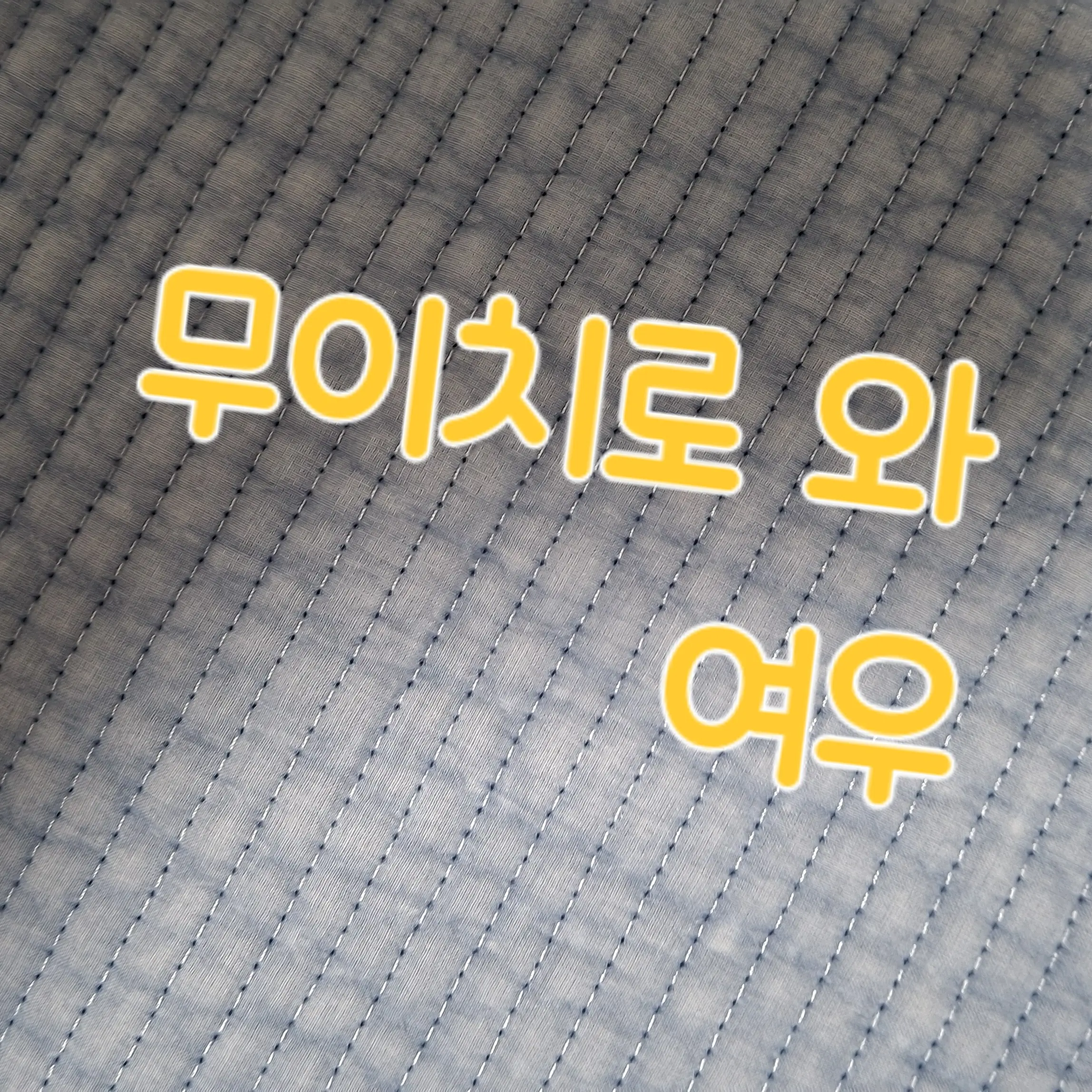 LeftChili7565의 무이치로와 여우