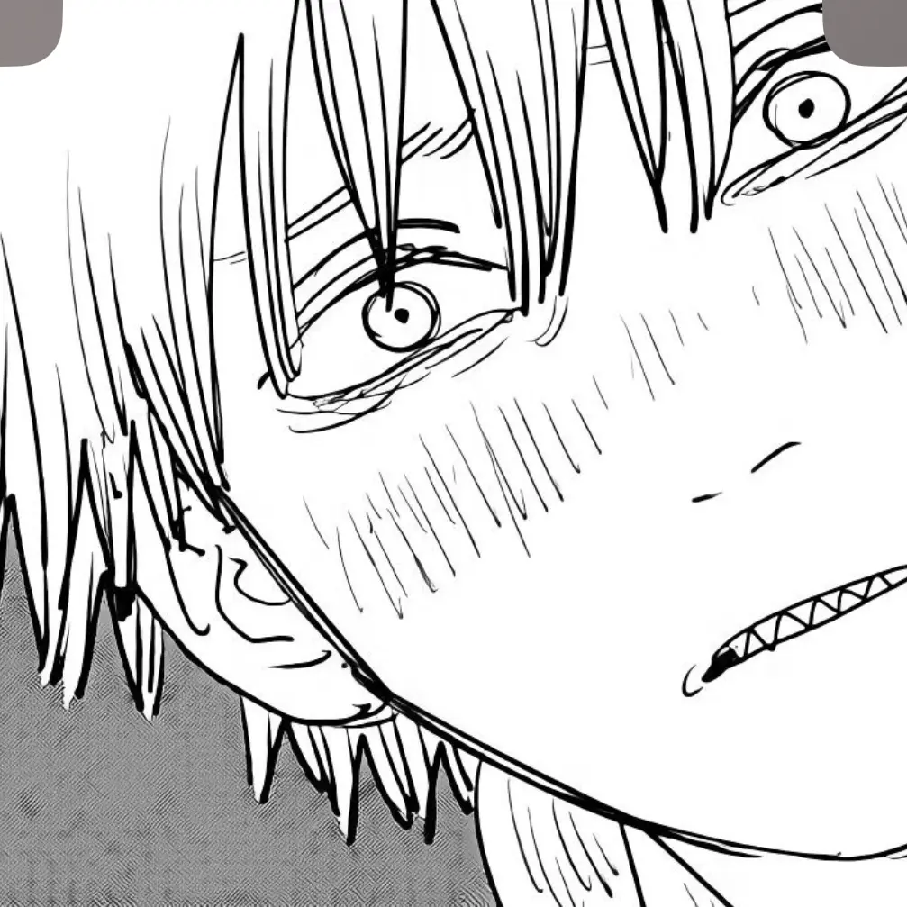 4348487373464919의 公安if