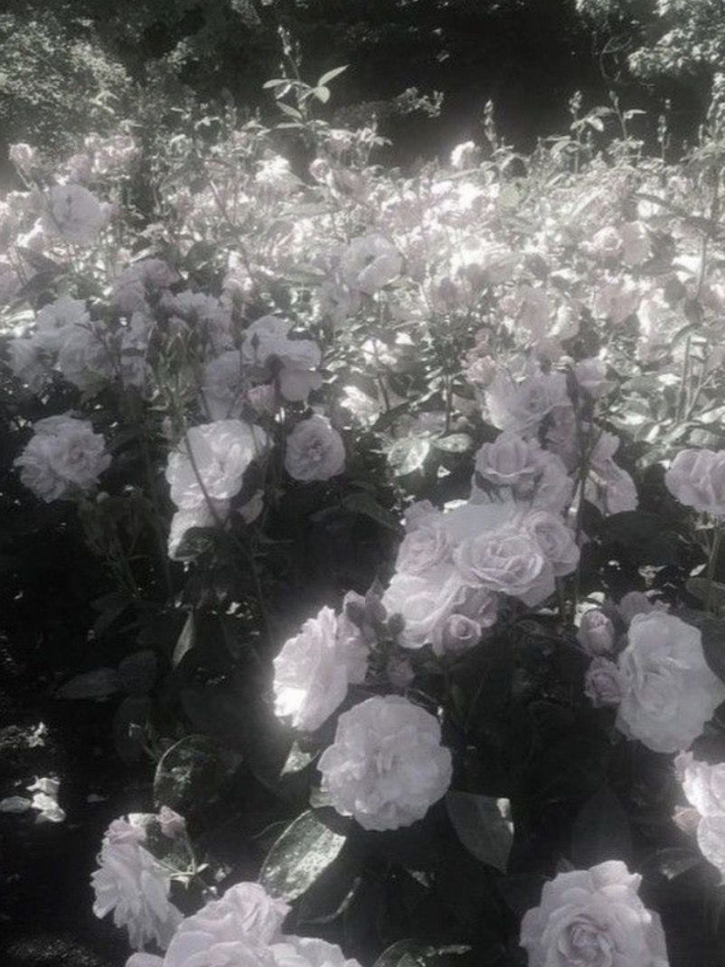 321 안녕하세요 PIXELY입니다! 대표 이미지