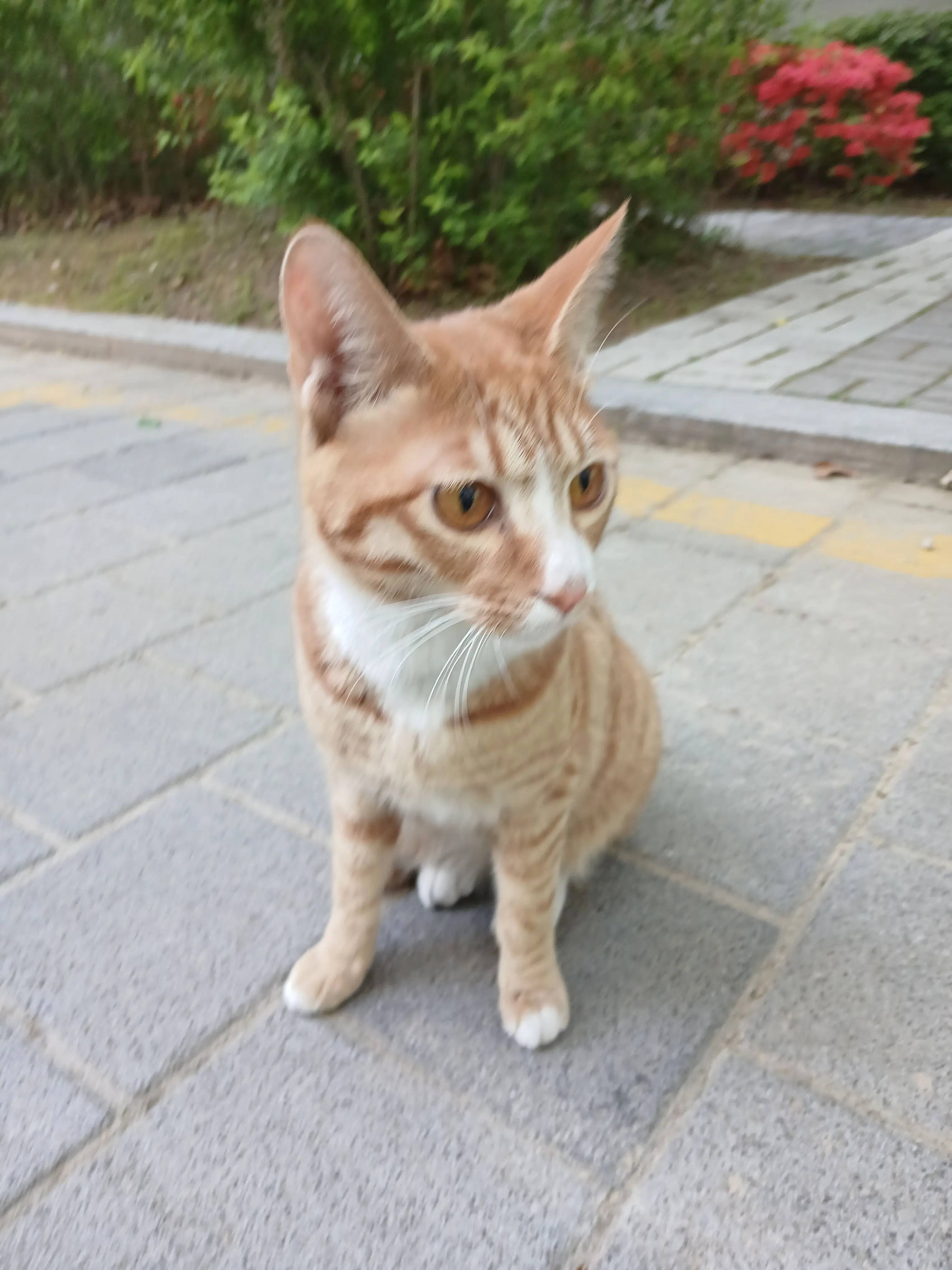 tjdtjf0320의 이민호 한지성 황현진 김승민