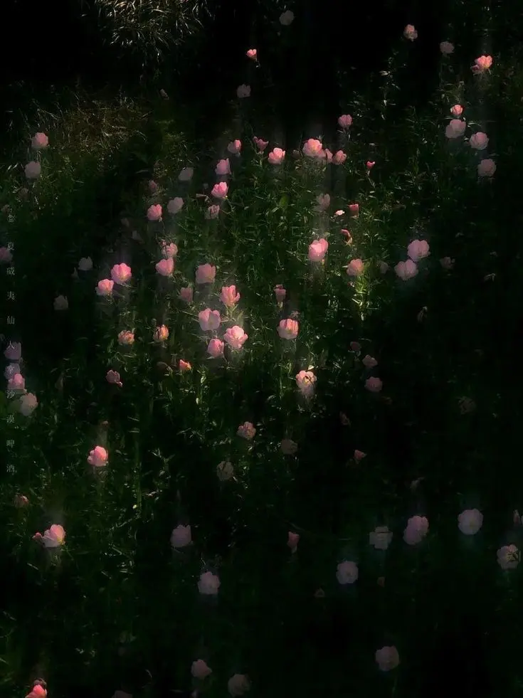 Nerisekiyaner의 Kwon