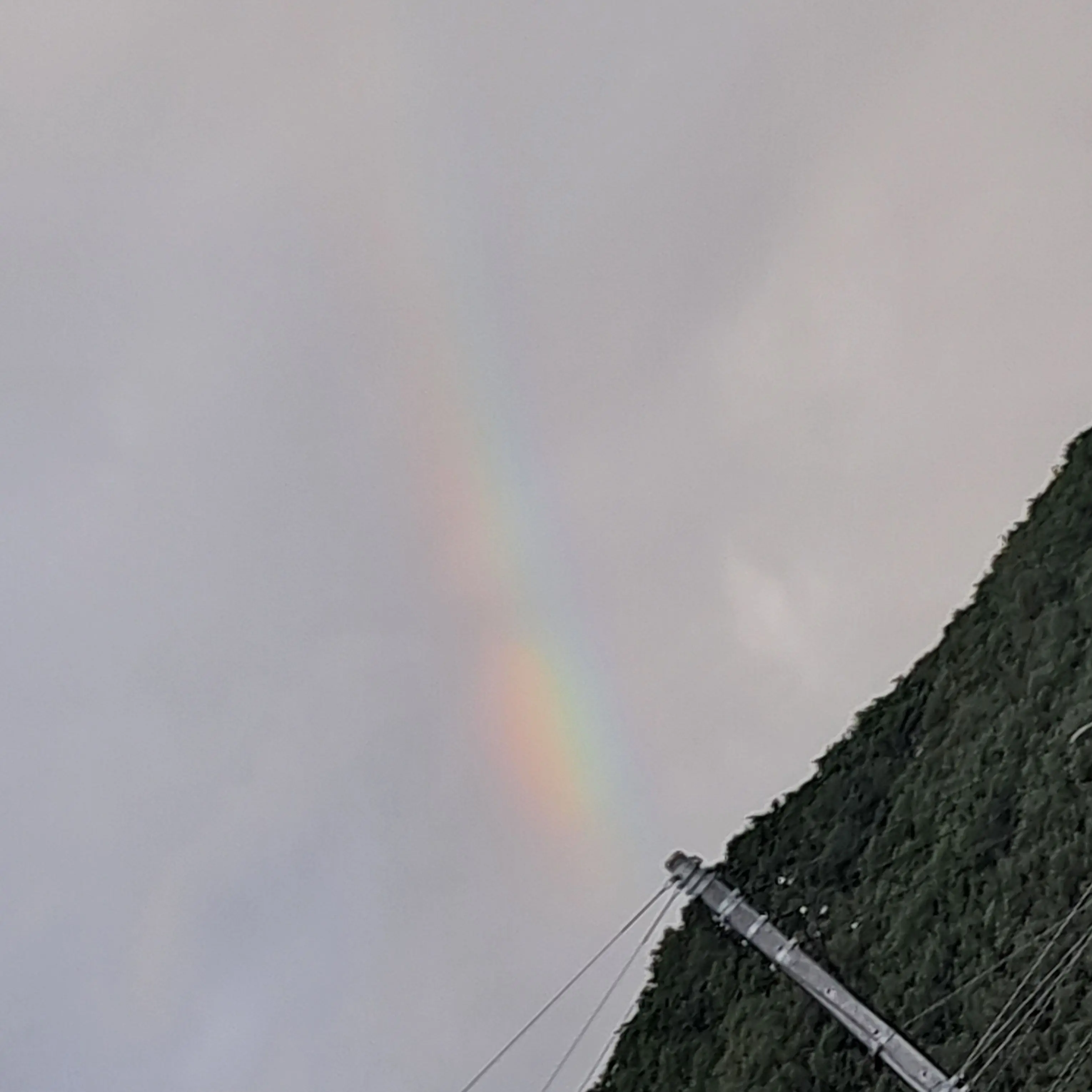 FlimsyLion6249의 나랑도대화하장ㅇㅇ