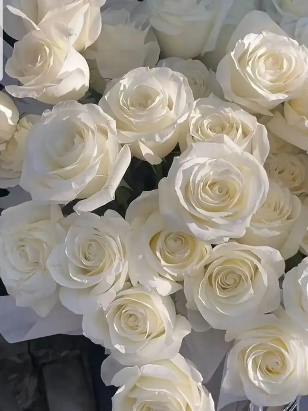 LushMind6059의 구미호 귀칼세계관에서연애하기!