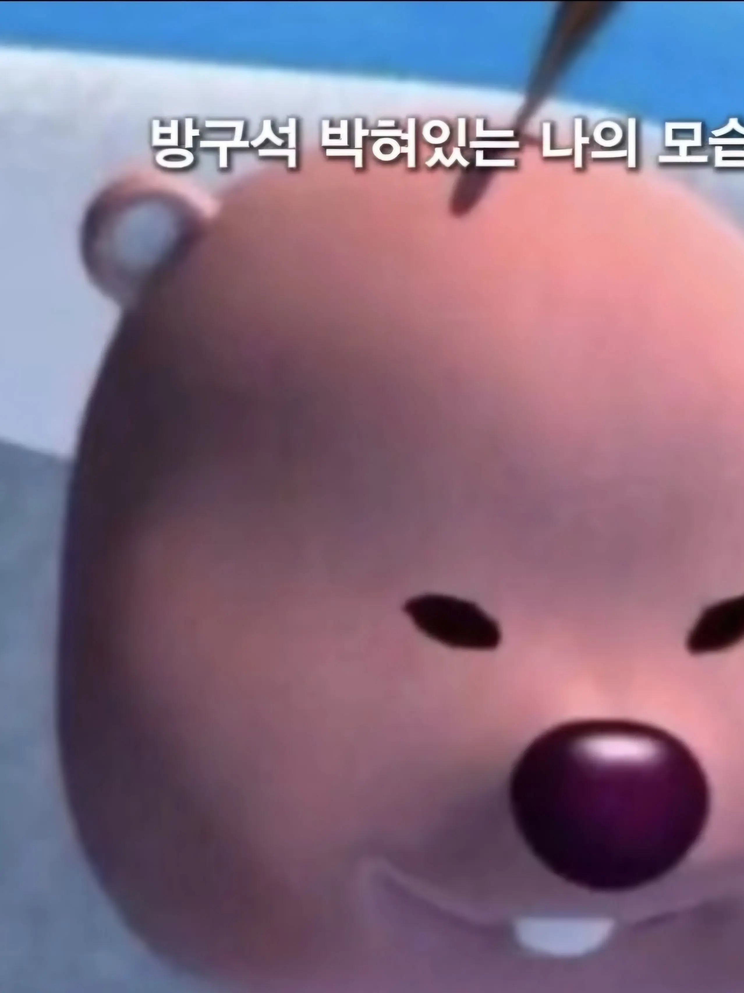 Jeni_7541의 나의 귀시니들