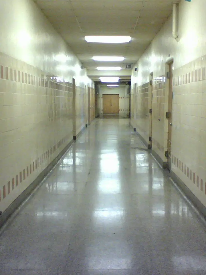 PaltryRings9198의 THE BACKROOMS - 생존일지