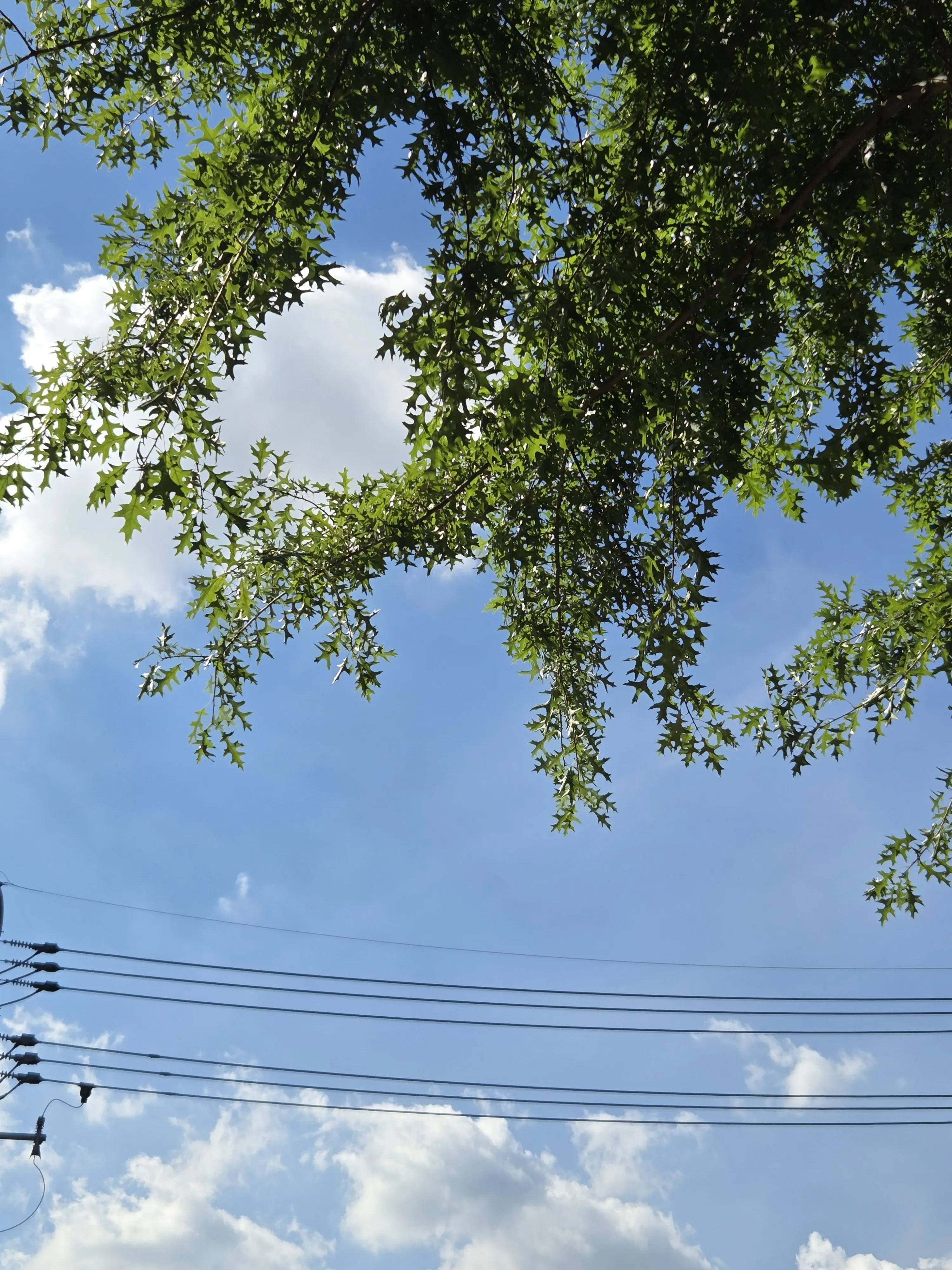 DaftlyStep1571의 픽셀리 초능력중학교(초세여 아닙니다)