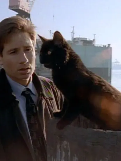 iheartmcr의 Fox Mulder