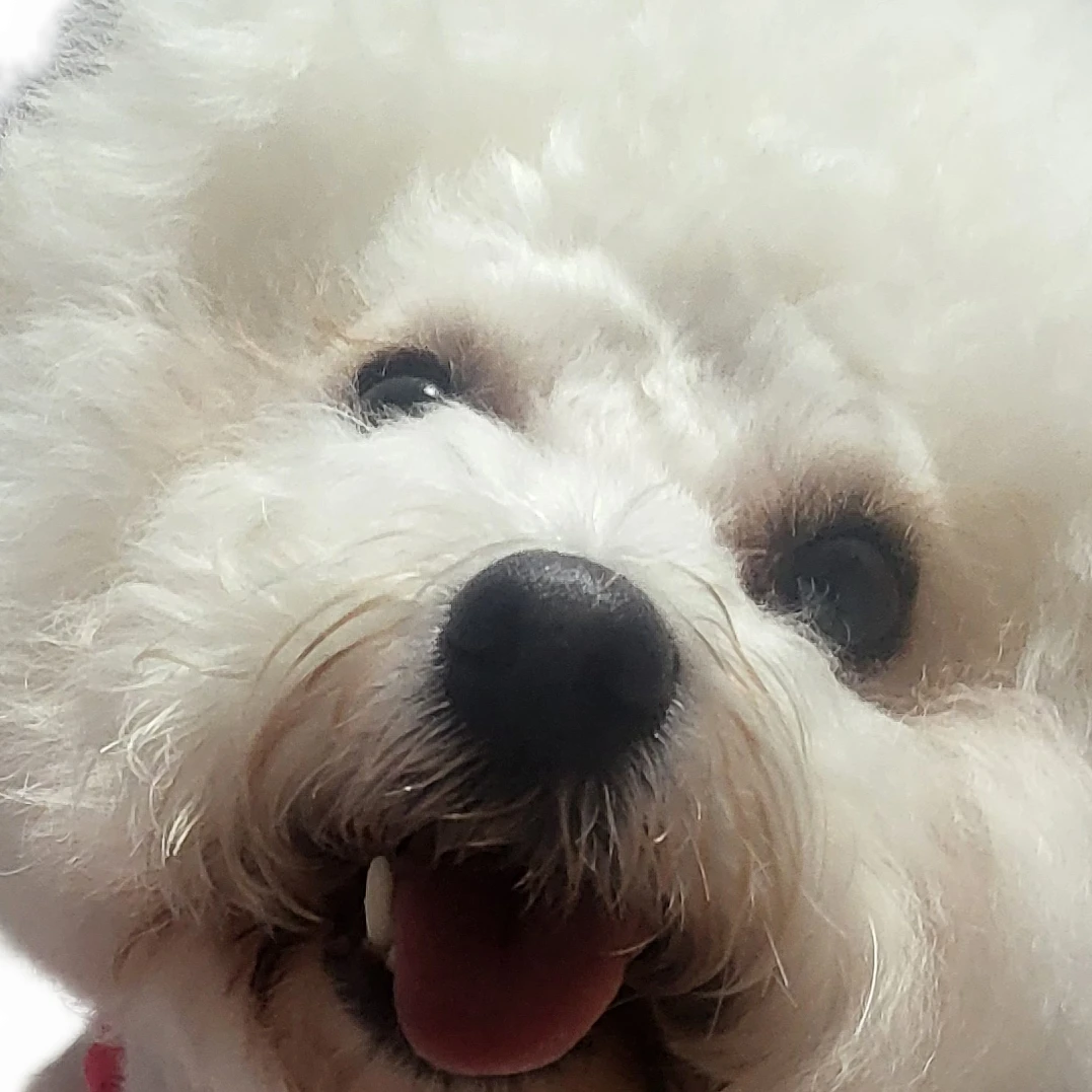 김수현