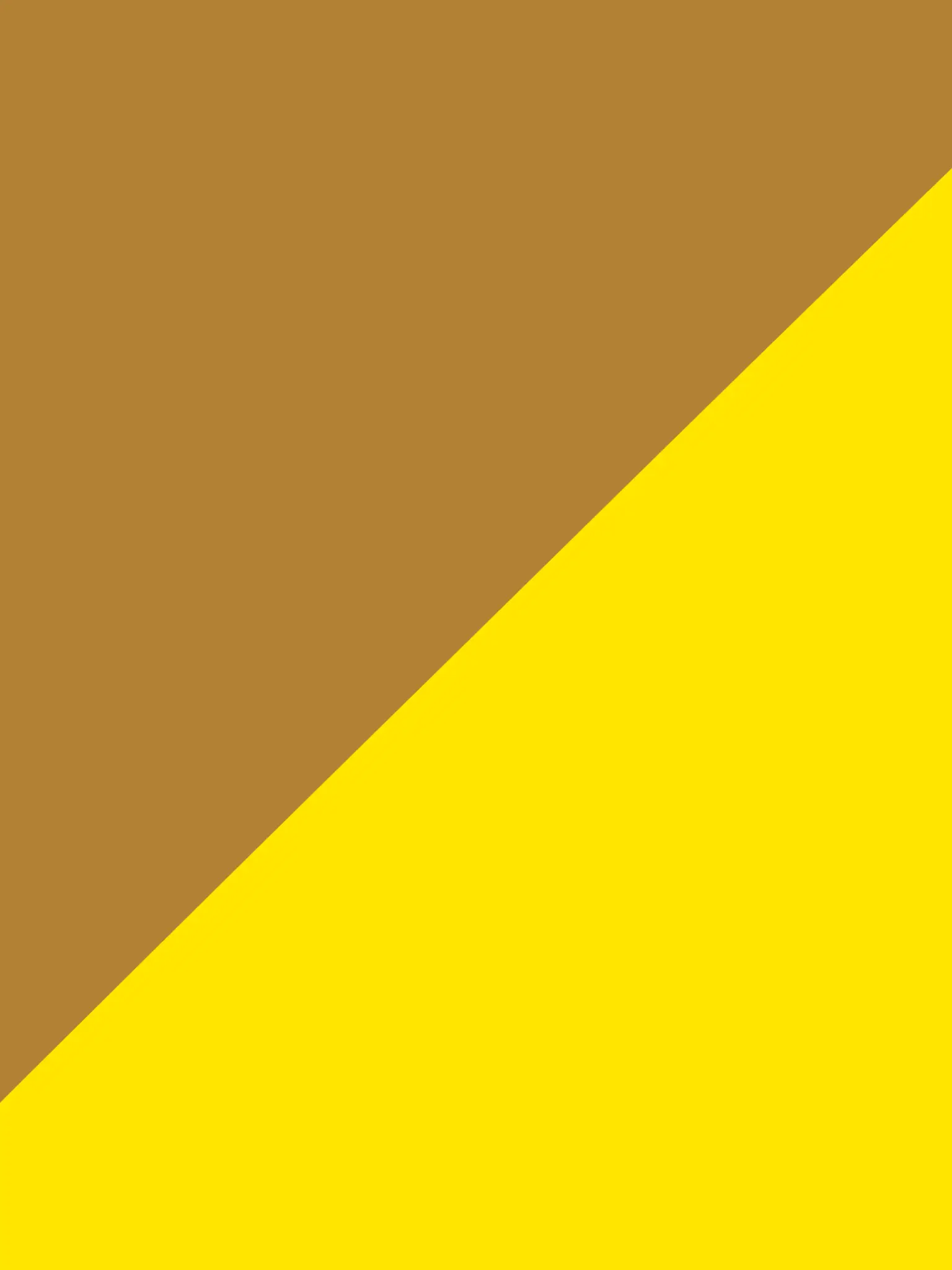 Cat_ostrich의 다리절단 채린