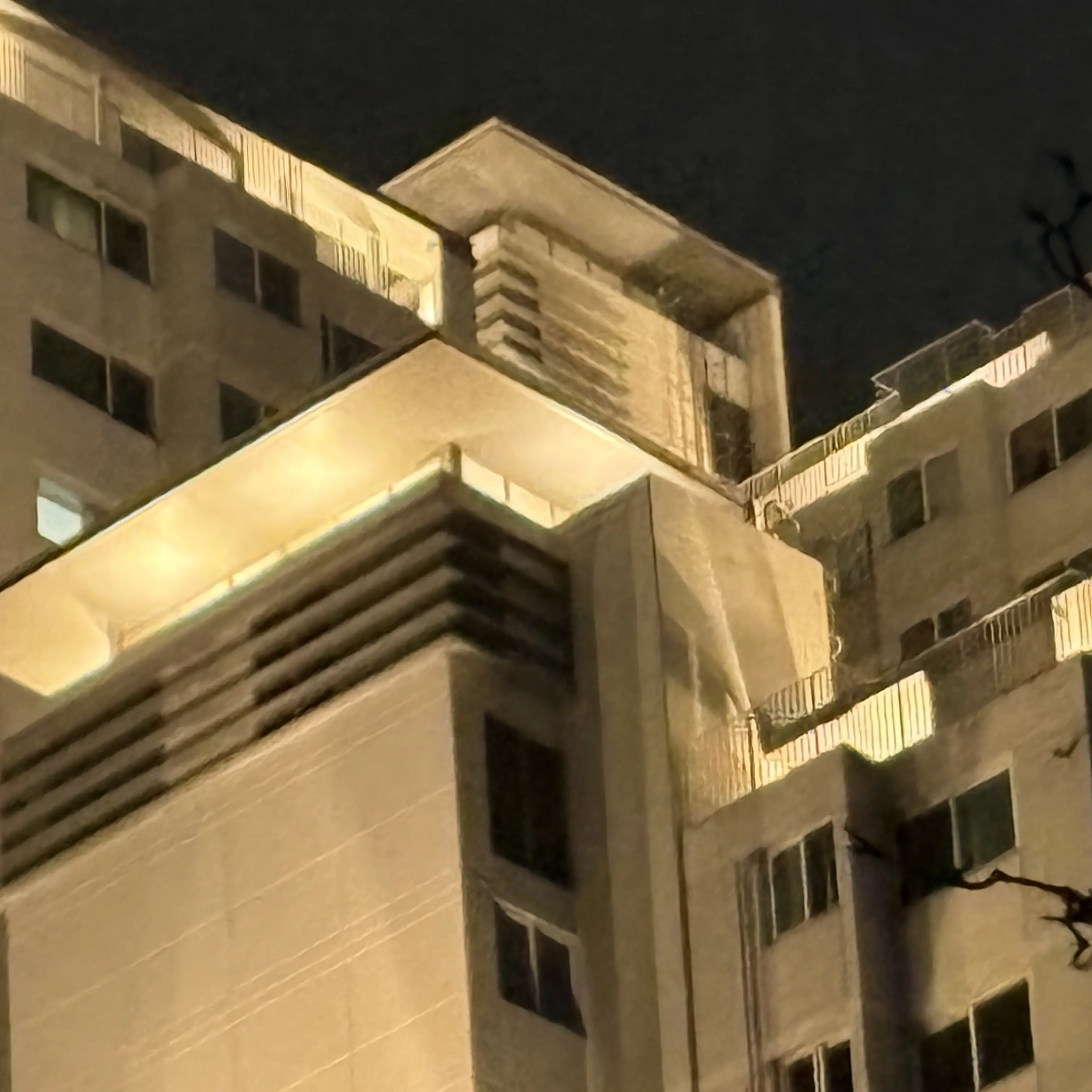 MusclyDhole9416의 이유찬