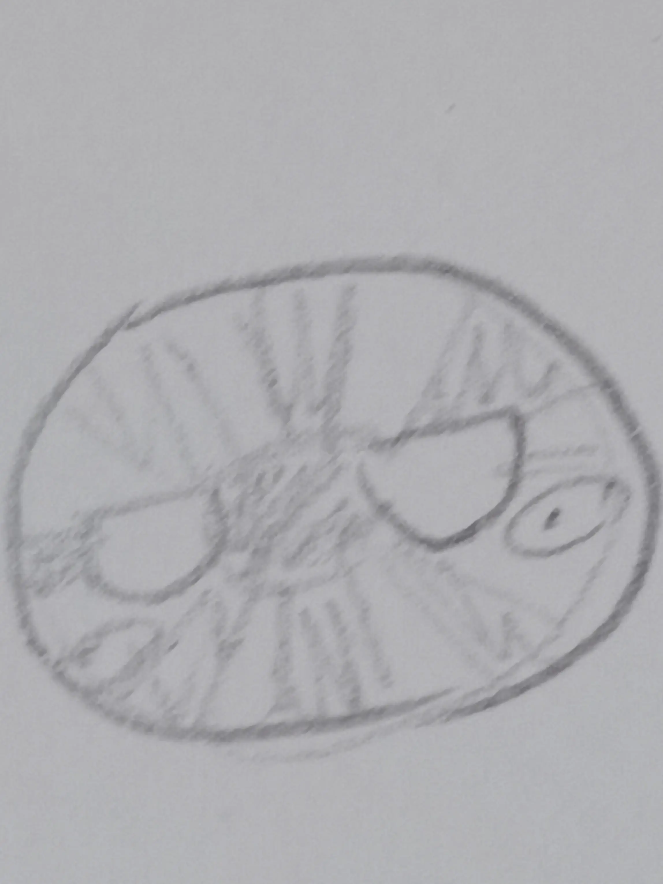 uim1212의 日帝と江戸が赤ちゃんに！？